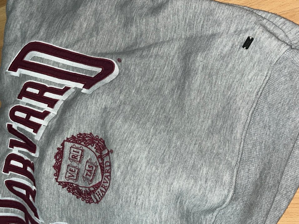 Kapüşonlu Harvard Baskılı Gri Kadın Kalın Sweatshirt Pull Bear - Görsel 3