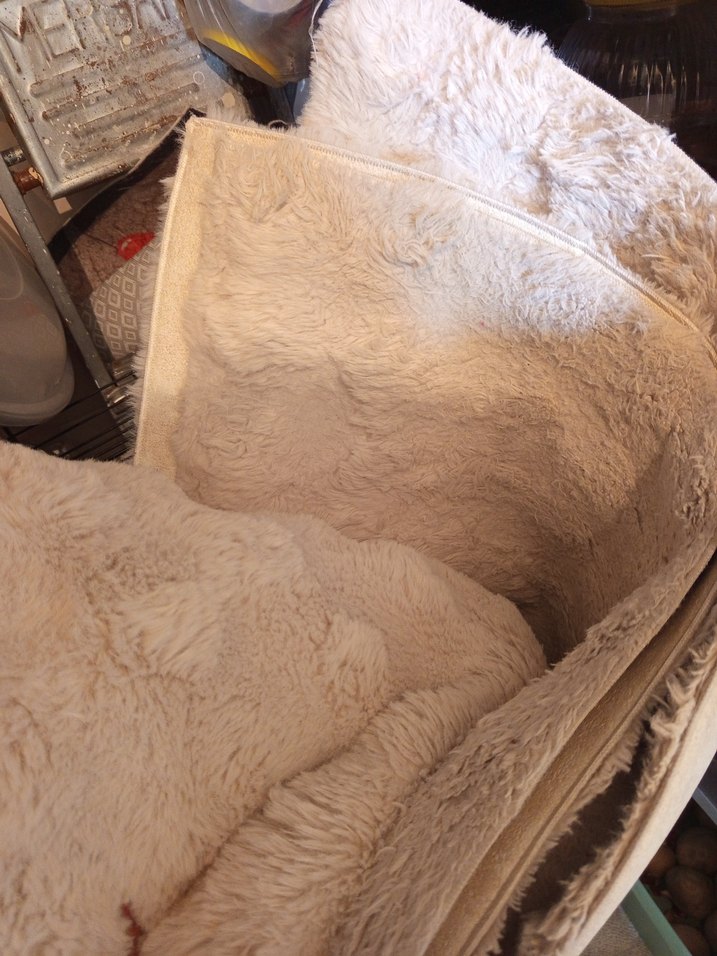 Bej Düz Yumuşakhalı - Görsel 2