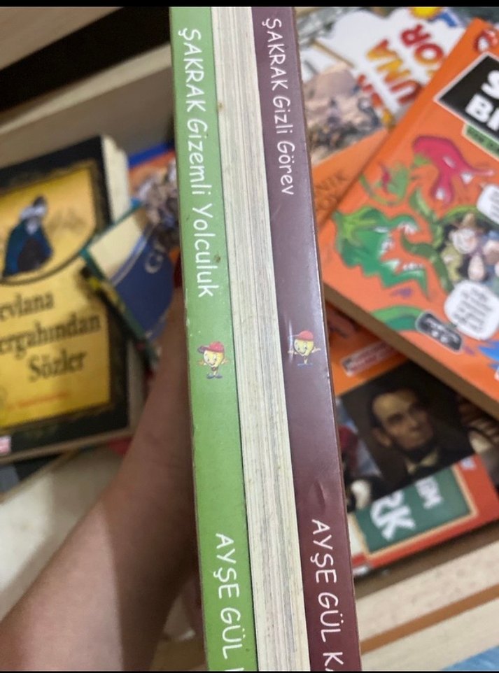 Şakrak kitap serisi 3 lü - Görsel 4