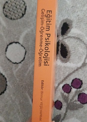 Eğitim Psikolojisi - Binnur Yeşilyaprak - Görsel 2