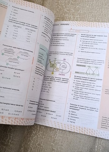  Beden AYT Biyoloji Soru Kitabı Palme Yayınları