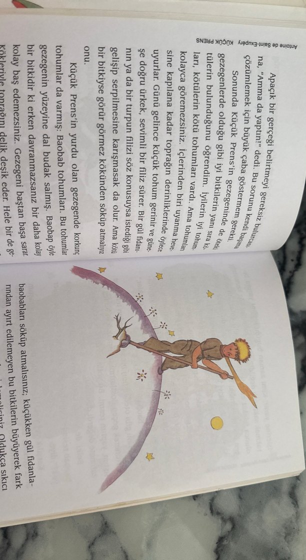 Küçük Prens - Antoine de Saint-Exupéry - Görsel 3