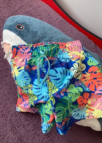 Penti 5-6 yaş Renkli Desenli deniz şortu - Görsel 6