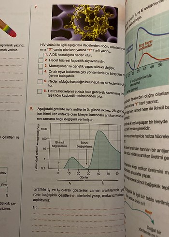  Beden Renk Palme Yayınları 11. Sınıf Biyoloji Soru Kitabı