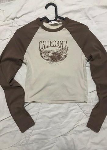 Pull and Bear body