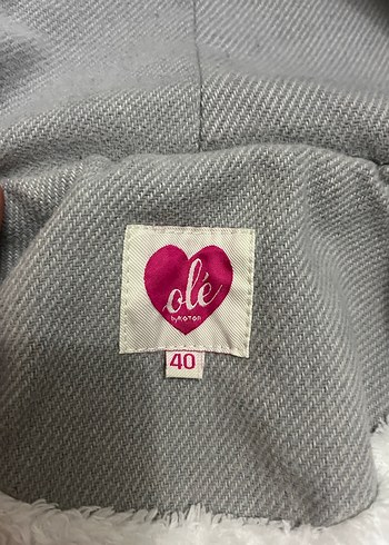 Kapüşonlu Gri Kaban - Görsel 4