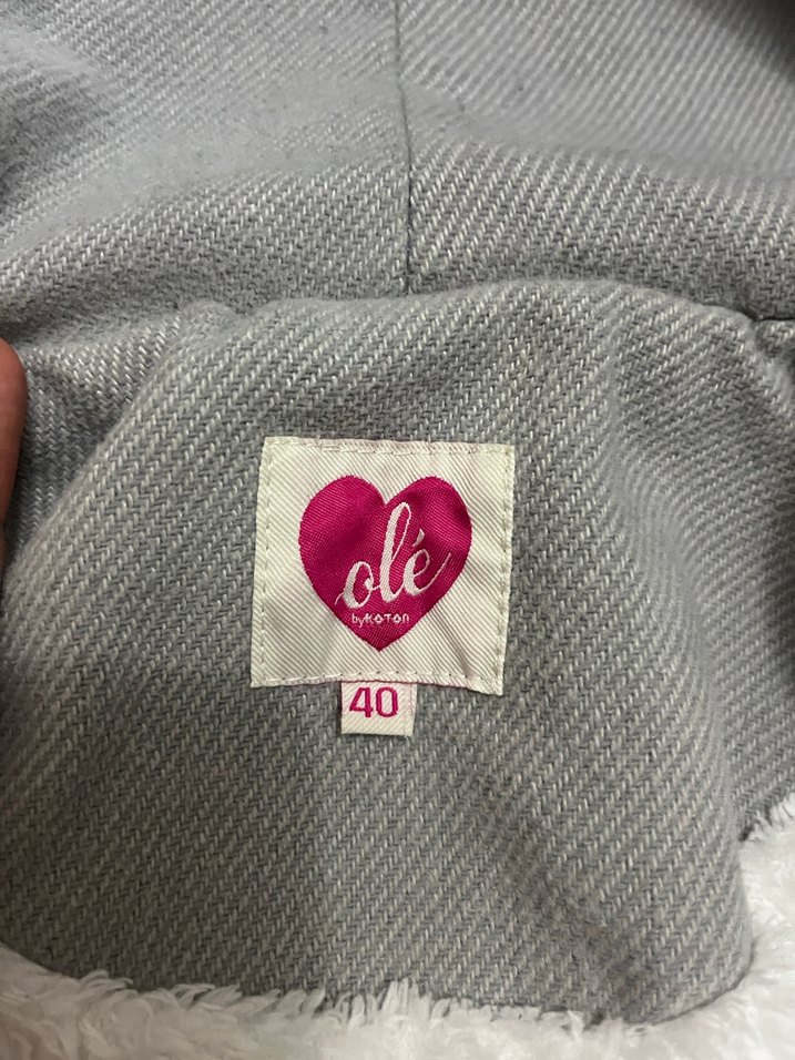 Kapüşonlu Gri Kaban - Görsel 4