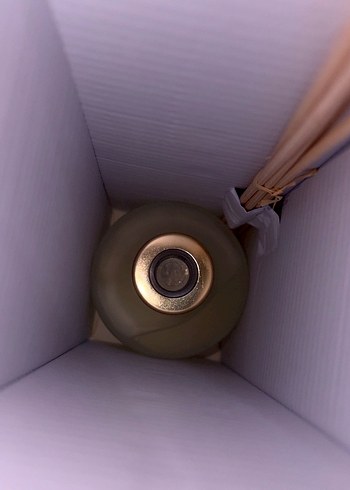 English Home Reddy Plaid Oda Kokusu 100ml - Görsel 4