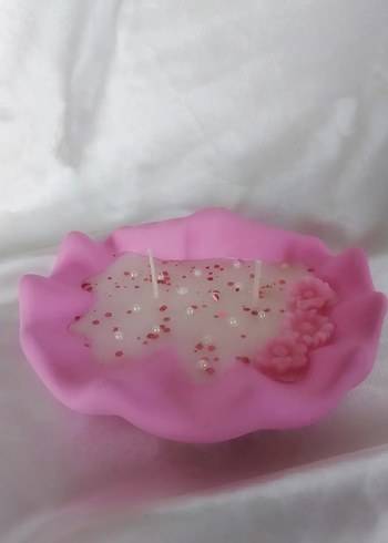 Deniz kabuğu - Görsel 2