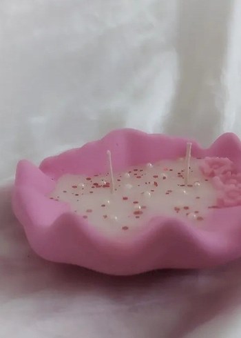 Deniz kabuğu - Görsel 3