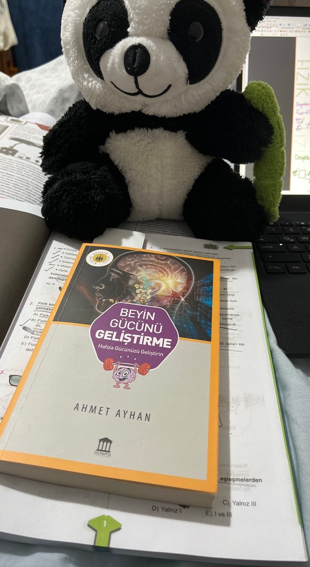 Beyin gücünü geliştirme okuma kitabı - Görsel 2