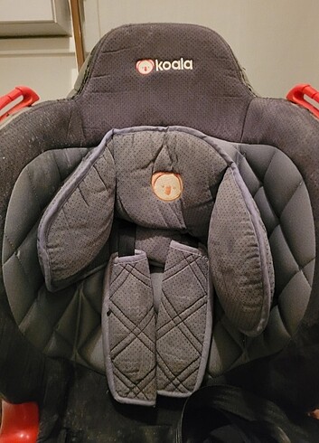 9- 36 kg Beden gri Renk Koala bebek araba koltuğu