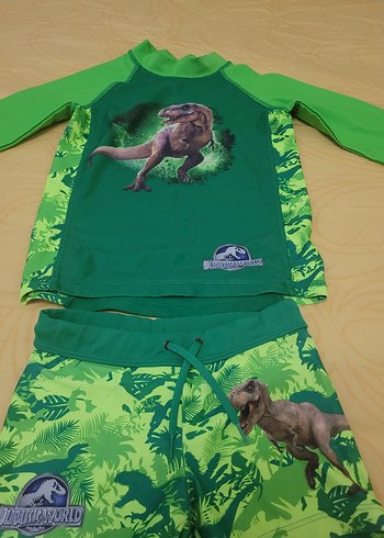 Uzun Kollu Dinozor Desenli Erkek Mayo Takımı - Görsel 2