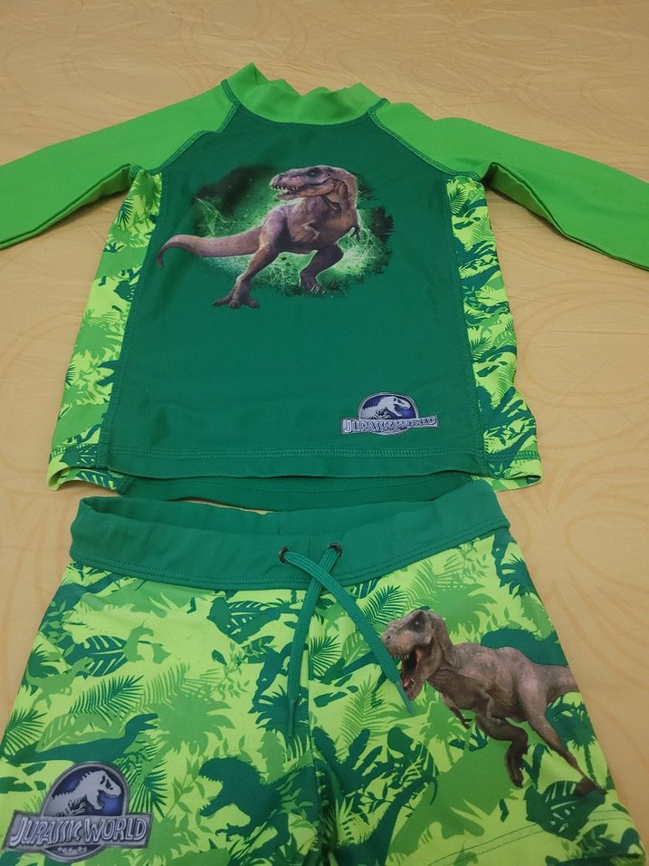 Uzun Kollu Dinozor Desenli Erkek Mayo Takımı - Görsel 2