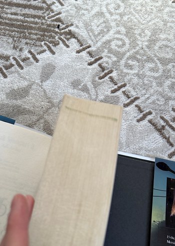 Sokak Nöbetçileri Serisi - Aslı Arslan - Görsel 8