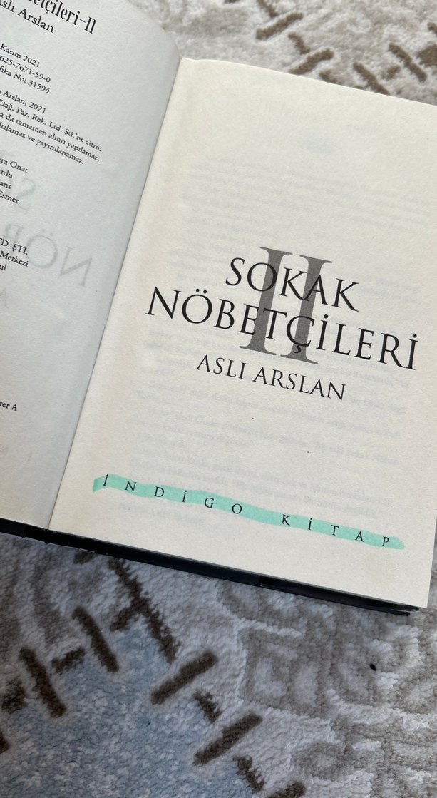 Sokak Nöbetçileri Serisi - Aslı Arslan - Görsel 4