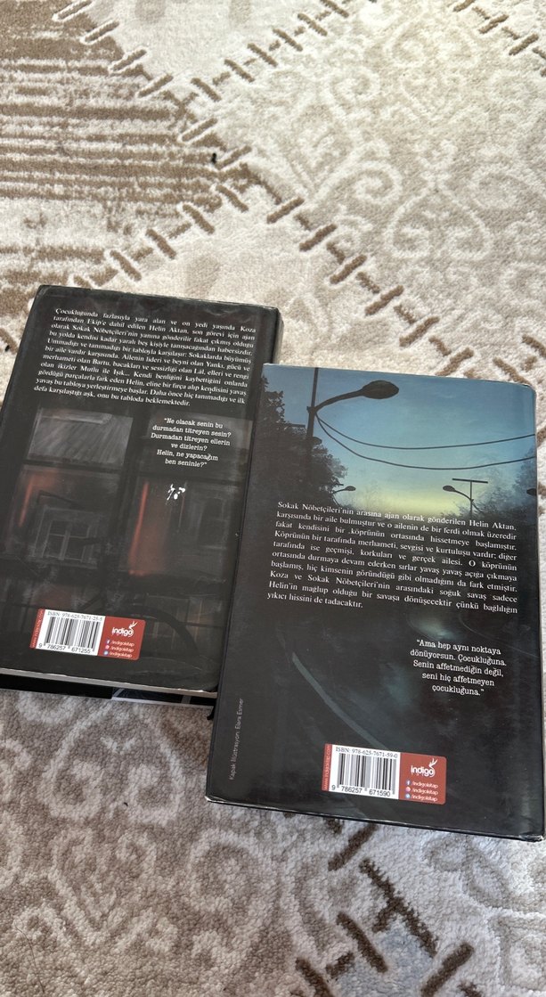 Sokak Nöbetçileri Serisi - Aslı Arslan - Görsel 2