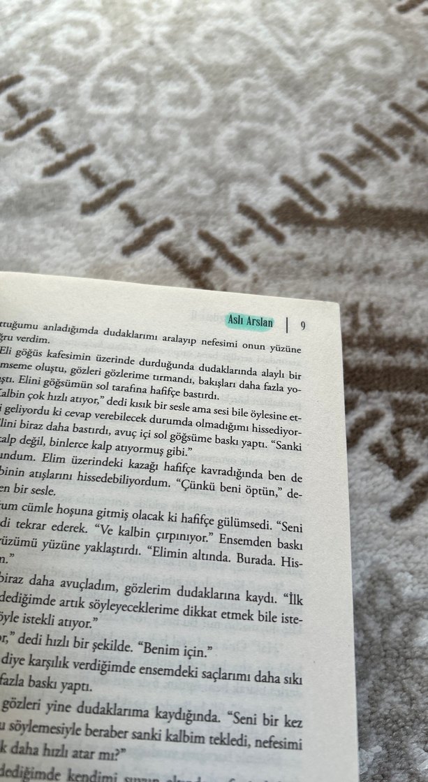 Sokak Nöbetçileri Serisi - Aslı Arslan - Görsel 5