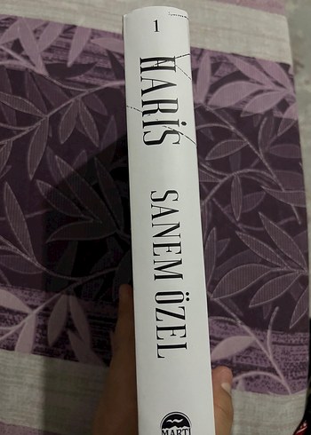 Haris - Sanem Özel - Görsel 4