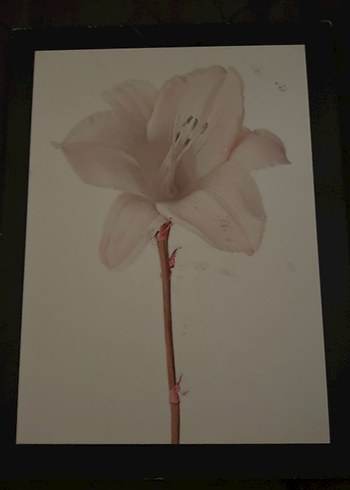 Çerçeve Seti 7'li - Görsel 4