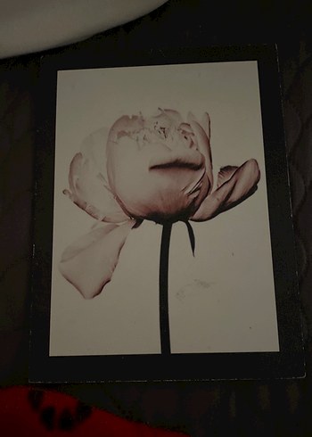 Çerçeve Seti 7'li - Görsel 7