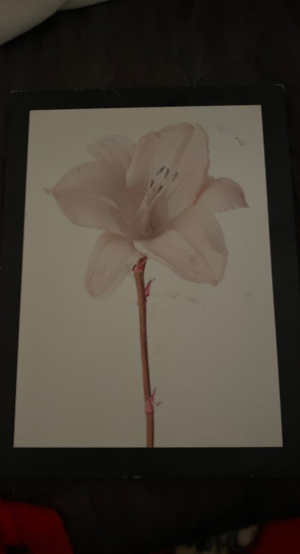 Çerçeve Seti 7'li - Görsel 4