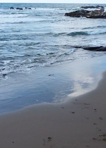 Bebek Mavisi Elbise - Görsel 4