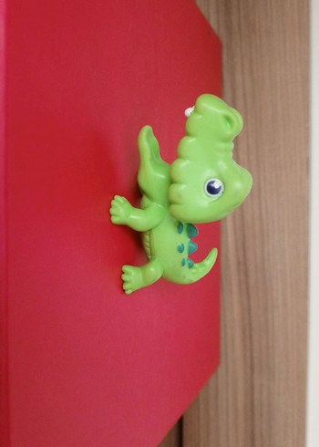 Timsah Miniş - Görsel 2