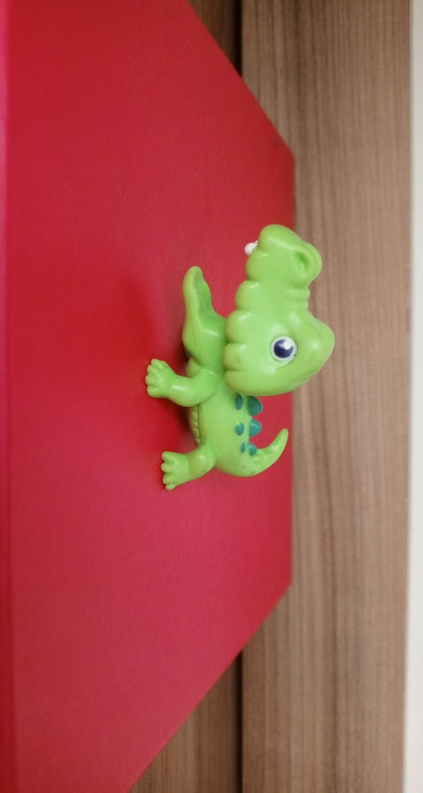 Timsah Miniş - Görsel 2