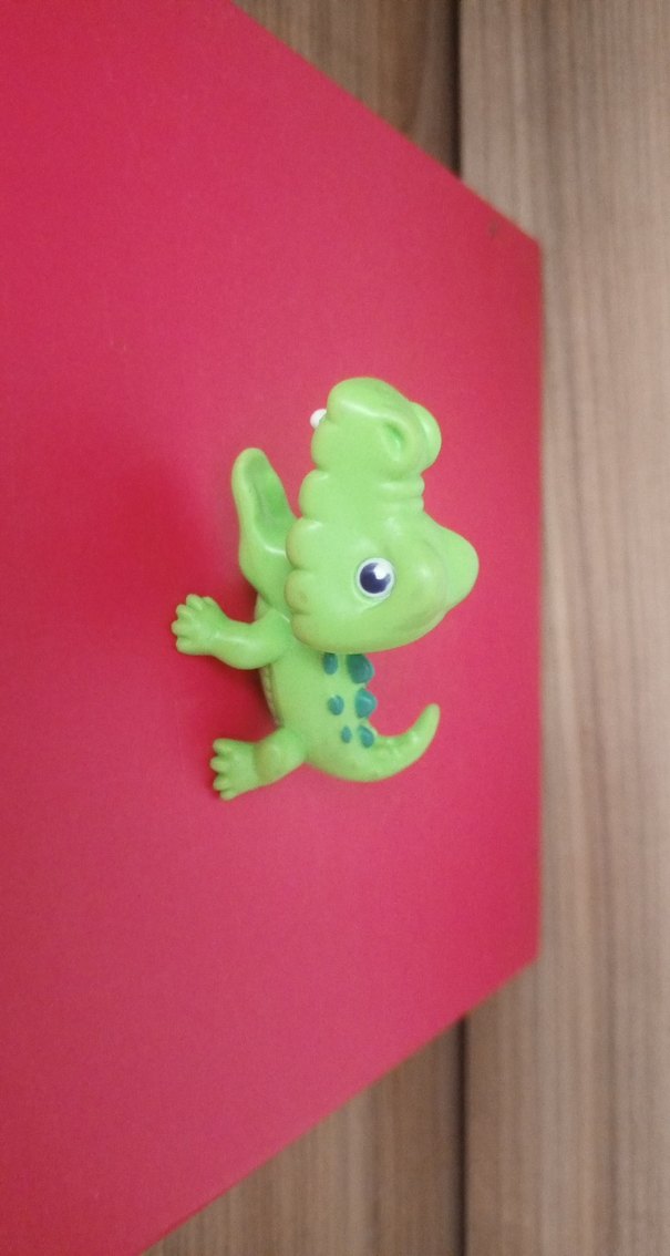 Timsah Miniş - Görsel 3