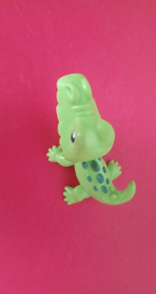 Timsah Miniş - Görsel 4