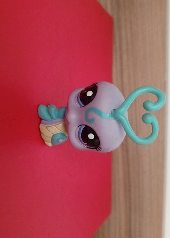 Lps Miniş - Görsel 3