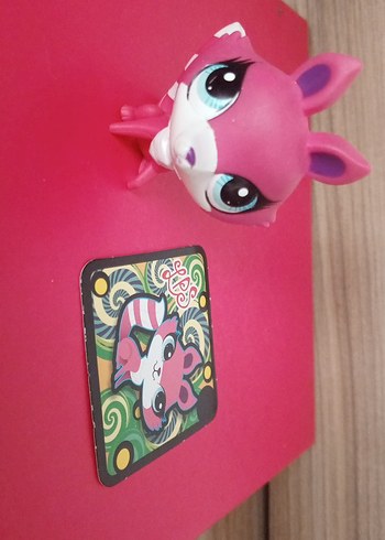 LPS Miniş - Görsel 2