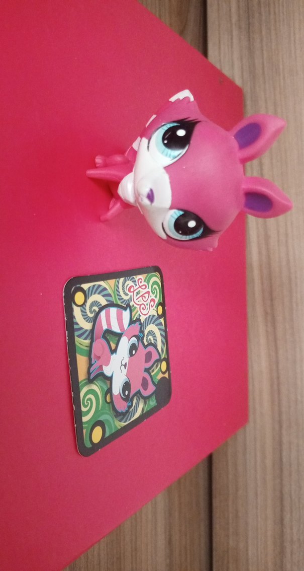 LPS Miniş - Görsel 2