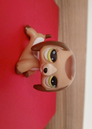 Köpek Miniş orjinal değil - Görsel 4