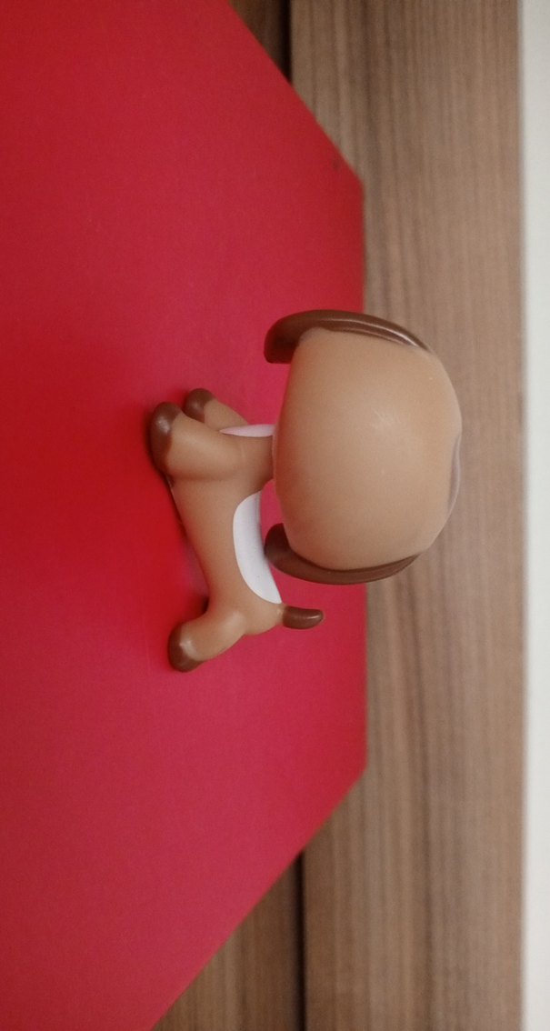 Köpek Miniş orjinal değil - Görsel 2