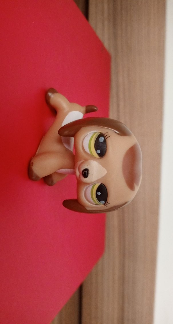 Köpek Miniş orjinal değil - Görsel 4