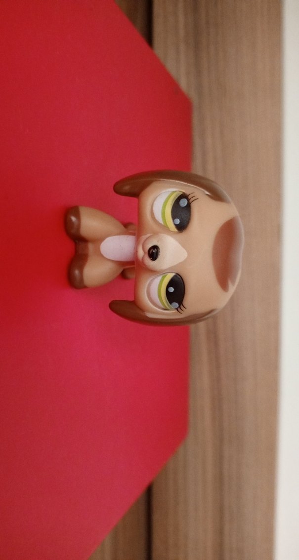 Köpek Miniş orjinal değil - Görsel 3