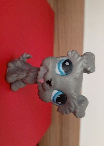 Köpek Miniş orjinal değil - Görsel 4