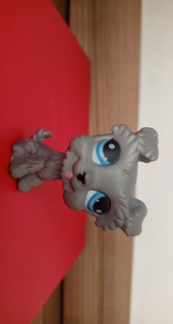 Köpek Miniş orjinal değil - Görsel 4