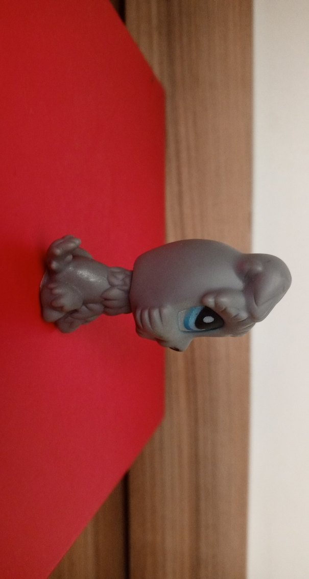 Köpek Miniş orjinal değil - Görsel 3