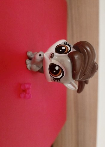 LPS Miniş - Görsel 4