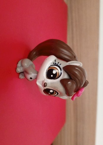 LPS Miniş - Görsel 2