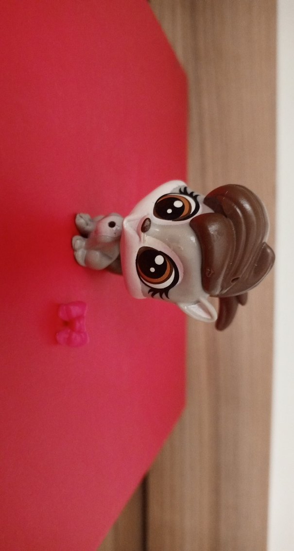 LPS Miniş - Görsel 4