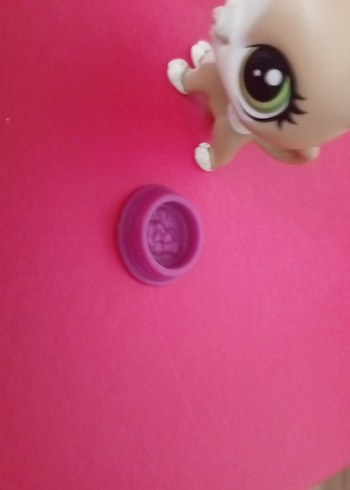 LPS Miniş - Görsel 3