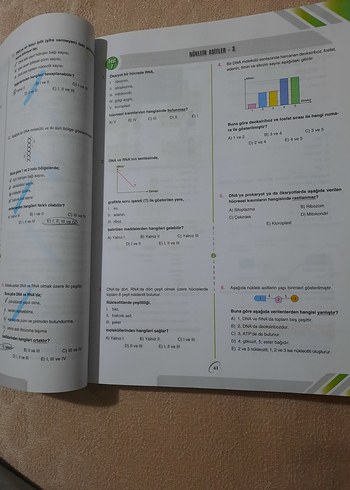 Bilgi Sarmal Tyt-Ayt Biyoloji - Görsel 3