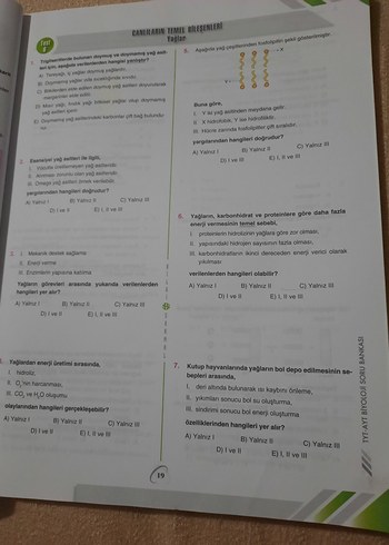 Bilgi Sarmal Tyt-Ayt Biyoloji - Görsel 2