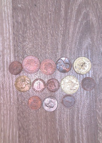 Yabancı Madeni Lotu 13 (Son) - Görsel 3