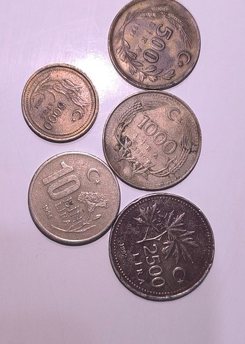 Vintage Erkek Rozetleri - Kahverengi ve Gri Tonlar - Görsel 3