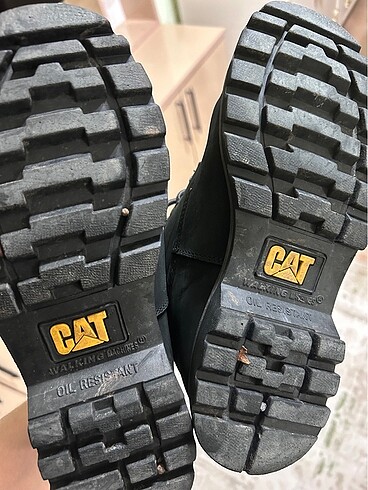 40 Beden Cat bot